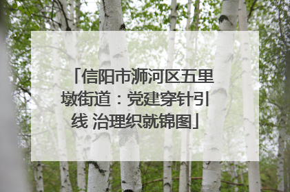 信阳市浉河区五里墩街道：党建穿针引线 治理织就锦图