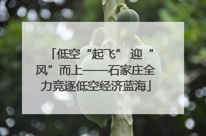 低空“起飞” 迎“风”而上——石家庄全力竞逐低空经济蓝海
