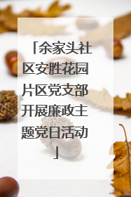 余家头社区安胜花园片区党支部开展廉政主题党日活动