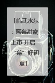 临武水东：蓝莓甜蜜上市 开启“莓”好初夏
