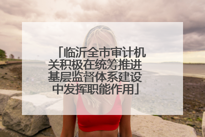 临沂全市审计机关积极在统筹推进基层监督体系建设中发挥职能作用