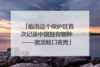 临沧这个保护区首次记录中国独有物种——黑顶蛙口夜鹰