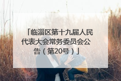 临淄区第十九届人民代表大会常务委员会公告（第20号）