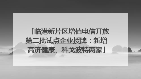 临港新片区增值电信开放第二批试点企业授牌：新增高济健康、科戈波特两家