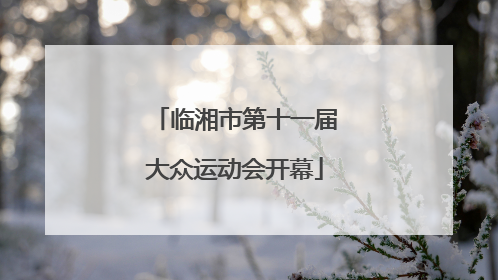 临湘市第十一届大众运动会开幕