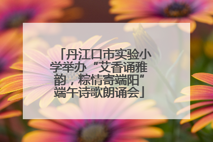 丹江口市实验小学举办“艾香诵雅韵，粽情寄端阳”端午诗歌朗诵会