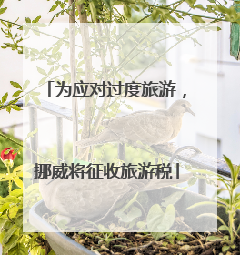 为应对过度旅游，挪威将征收旅游税