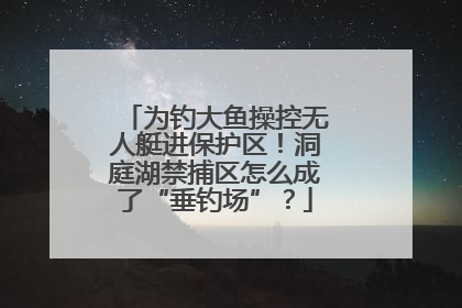 为钓大鱼操控无人艇进保护区！洞庭湖禁捕区怎么成了“垂钓场”？