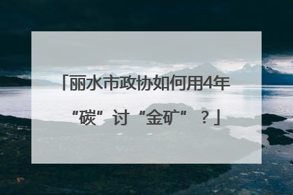 丽水市政协如何用4年“碳”讨“金矿”？