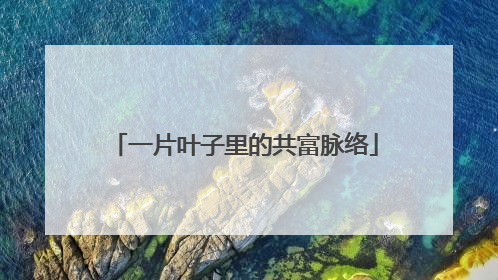 一片叶子里的共富脉络