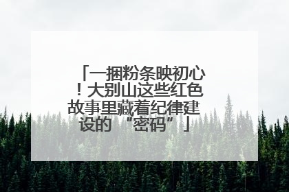 一捆粉条映初心！大别山这些红色故事里藏着纪律建设的 “密码”