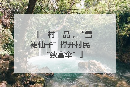 一村一品，“雪裙仙子”撑开村民“致富伞”