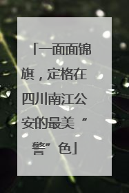 一面面锦旗，定格在四川南江公安的最美“警”色