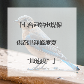 七台河站电煤保供跑出迎峰度夏 “加速度”