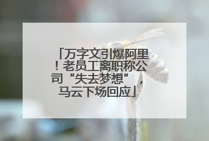 万字文引爆阿里！老员工离职称公司“失去梦想”，马云下场回应