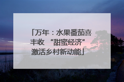 万年：水果番茄喜丰收 “甜蜜经济”激活乡村新动能