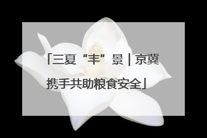 三夏“丰”景｜京冀携手共助粮食安全
