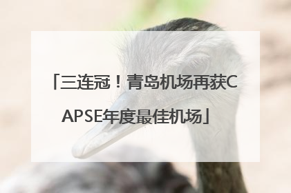 三连冠！青岛机场再获CAPSE年度最佳机场