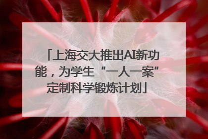 上海交大推出AI新功能，为学生“一人一案”定制科学锻炼计划