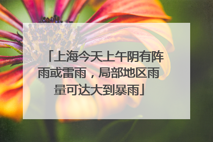 上海今天上午阴有阵雨或雷雨，局部地区雨量可达大到暴雨