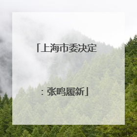 上海市委决定：张鸣履新