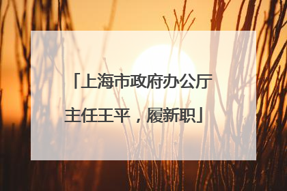 上海市政府办公厅主任王平，履新职