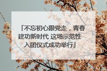 不忘初心跟党走，青春建功新时代 这场示范性入团仪式成功举行