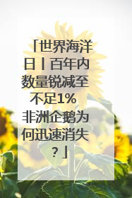 世界海洋日丨百年内数量锐减至不足1% 非洲企鹅为何迅速消失？