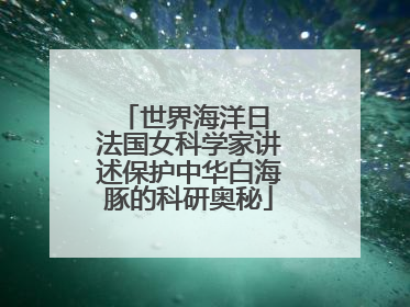 世界海洋日 法国女科学家讲述保护中华白海豚的科研奥秘