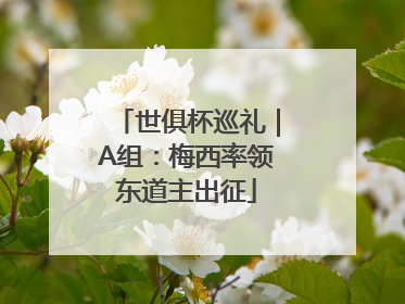 世俱杯巡礼｜A组：梅西率领东道主出征