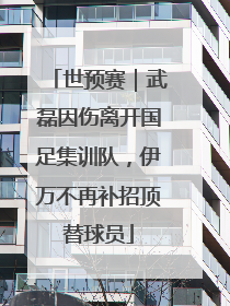 世预赛｜武磊因伤离开国足集训队，伊万不再补招顶替球员