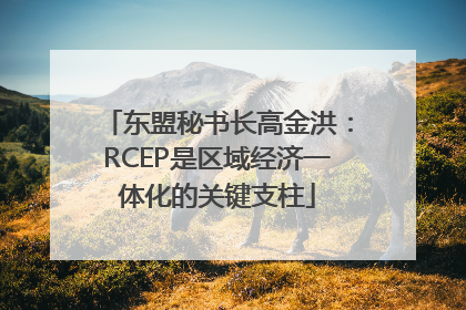 东盟秘书长高金洪：RCEP是区域经济一体化的关键支柱
