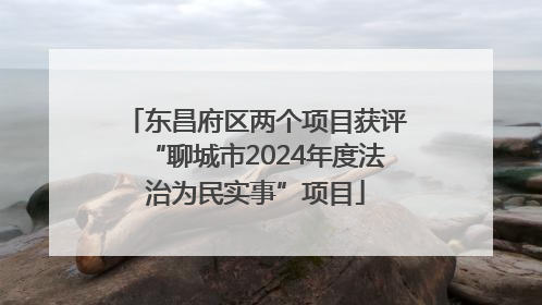 东昌府区两个项目获评“聊城市2024年度法治为民实事”项目