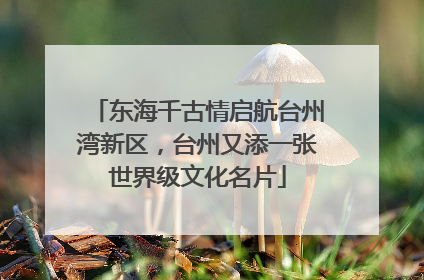 东海千古情启航台州湾新区，台州又添一张世界级文化名片