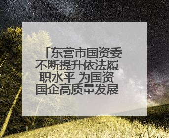 东营市国资委不断提升依法履职水平 为国资国企高质量发展提供坚实保障