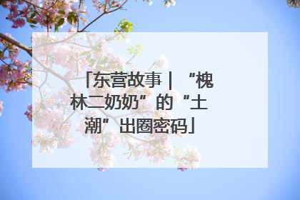 东营故事｜“槐林二奶奶”的“土潮”出圈密码