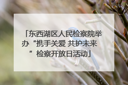 东西湖区人民检察院举办“携手关爱 共护未来”检察开放日活动