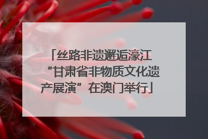 丝路非遗邂逅濠江 “甘肃省非物质文化遗产展演”在澳门举行