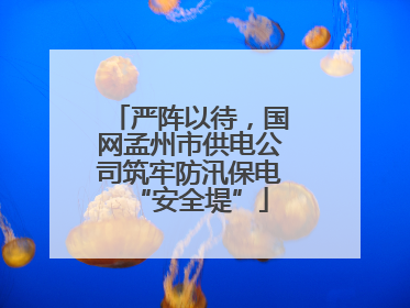 严阵以待，国网孟州市供电公司筑牢防汛保电“安全堤”