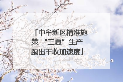 中牟新区精准施策 “三夏”生产跑出丰收加速度