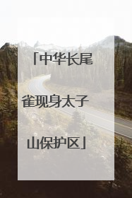 中华长尾雀现身太子山保护区