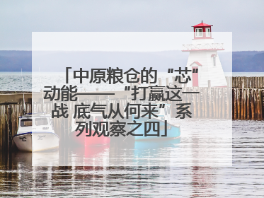 中原粮仓的“芯”动能——“打赢这一战 底气从何来”系列观察之四