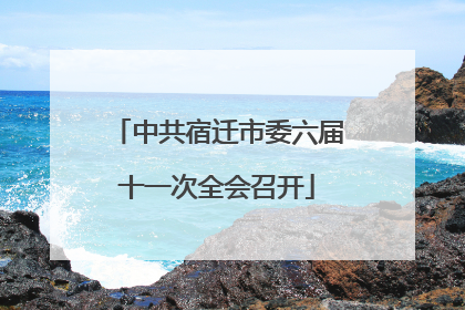 中共宿迁市委六届十一次全会召开