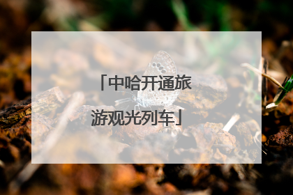 中哈开通旅游观光列车