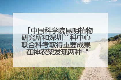 中国科学院昆明植物研究所和深圳兰科中心联合科考取得重要成果 在神农架发现两种“国保”级兰花