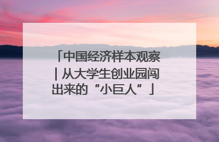 中国经济样本观察｜从大学生创业园闯出来的“小巨人”