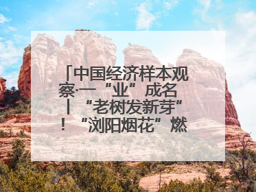 中国经济样本观察·一“业”成名丨“老树发新芽”！“浏阳烟花”燃亮世界