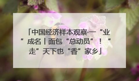 中国经济样本观察·一“业”成名丨面包“总动员”！“走”天下也“香”家乡