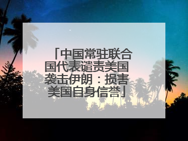 中国常驻联合国代表谴责美国袭击伊朗：损害美国自身信誉