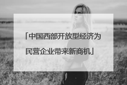 中国西部开放型经济为民营企业带来新商机